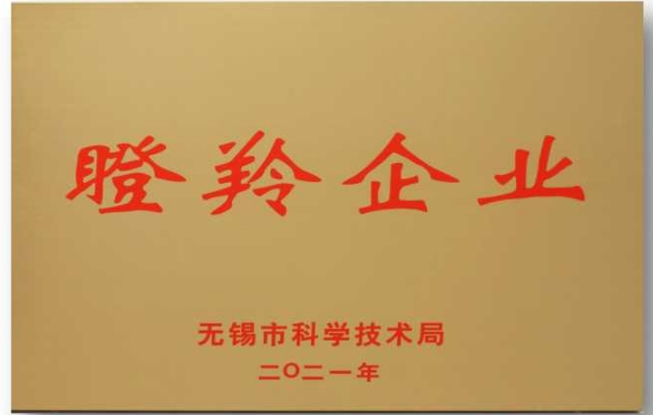 瞪羚企业